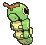 Caterpie
